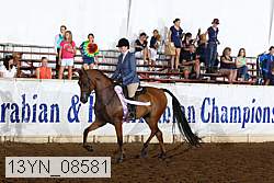 13yn_08581 thumbnail