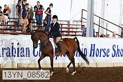 13yn_08582 thumbnail