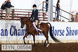 13yn_08584 thumbnail