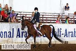 13yn_08585 thumbnail