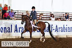 13yn_08587 thumbnail