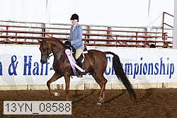 13yn_08588 thumbnail