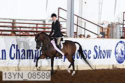 13yn_08589 thumbnail
