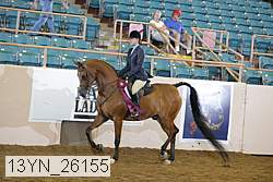13yn_26155 thumbnail