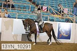 13yn_10291 thumbnail