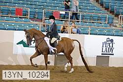 13yn_10294 thumbnail