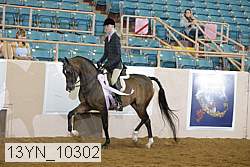 13yn_10302 thumbnail
