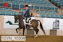 13yn_10304 thumbnail
