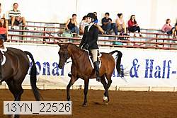 13yn_22526 thumbnail