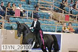 13yn_29100 thumbnail