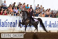 13yn_04396 thumbnail