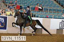 13yn_11511 thumbnail