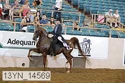 13yn_14569 thumbnail