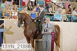13yn_21886 thumbnail