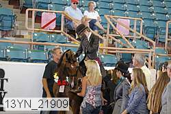 13yn_21909 thumbnail