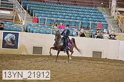 13yn_21912 thumbnail