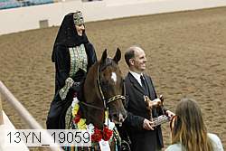 13yn_19059 thumbnail