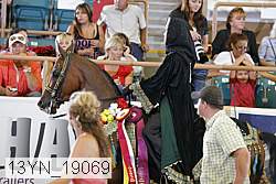 13yn_19069 thumbnail