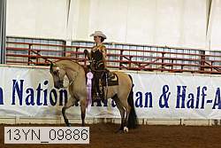 13yn_09886 thumbnail