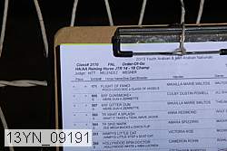 13yn_09191 thumbnail