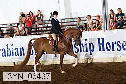 13yn_06437 thumbnail