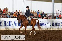 13yn_06465 thumbnail