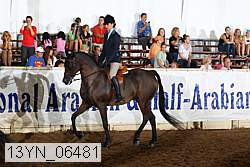 13yn_06481 thumbnail