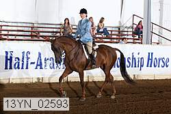 13yn_02593 thumbnail