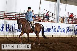 13yn_02605 thumbnail