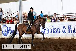 13yn_02615 thumbnail