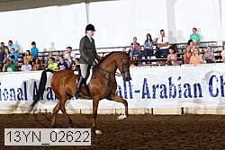 13yn_02622 thumbnail