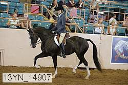 13yn_14907 thumbnail