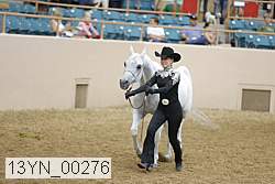 13yn_00276 thumbnail