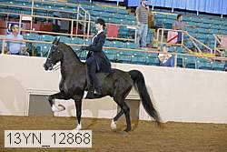 13yn_12868 thumbnail
