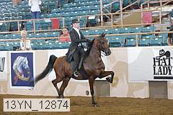 13yn_12874 thumbnail