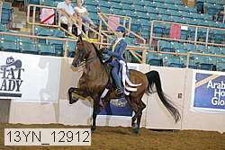 13yn_12912 thumbnail