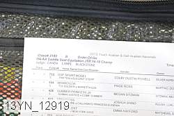 13yn_12919 thumbnail