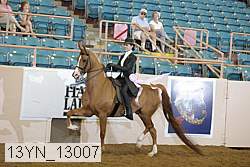 13yn_13007 thumbnail