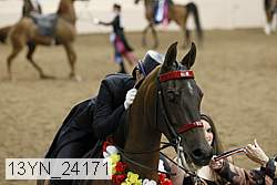 13yn_24171 thumbnail