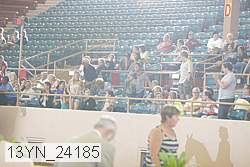 13yn_24185 thumbnail