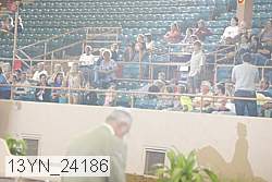 13yn_24186 thumbnail