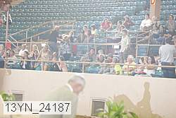 13yn_24187 thumbnail