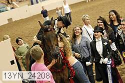 13yn_24208 thumbnail