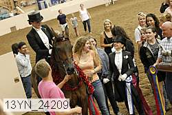 13yn_24209 thumbnail