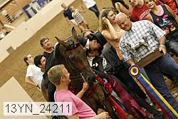 13yn_24211 thumbnail