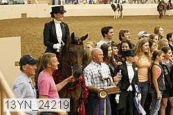 13yn_24219 thumbnail