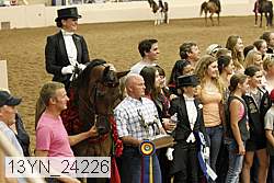 13yn_24226 thumbnail