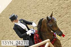 13yn_24270 thumbnail