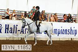 13yn_11852 thumbnail