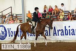 13yn_11869 thumbnail